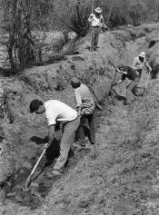 Sin Agua, No Hay Vida: The History of Acequias in the&nbsp;Southwest